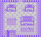 Parrot Town